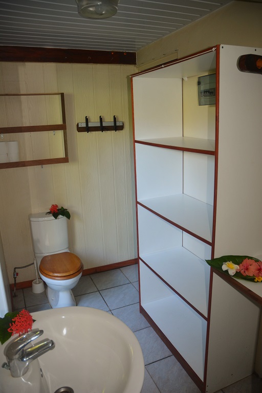 Intérieur d'une salle de bain avec un lavabo, des toilettes, et une étagère blanche. Des fleurs sont décorées sur le lavabo et l'étagère.